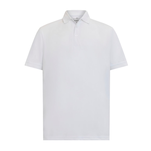Picture of Sporte Leisure Mens Sportec Aero Polo