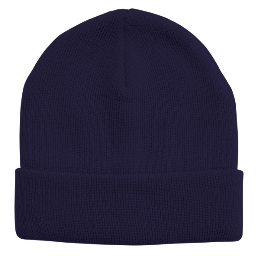 Picture of Legend Acrylic Beanie